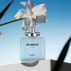 Sea Breeze